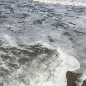 Meet your Posher, Leisha